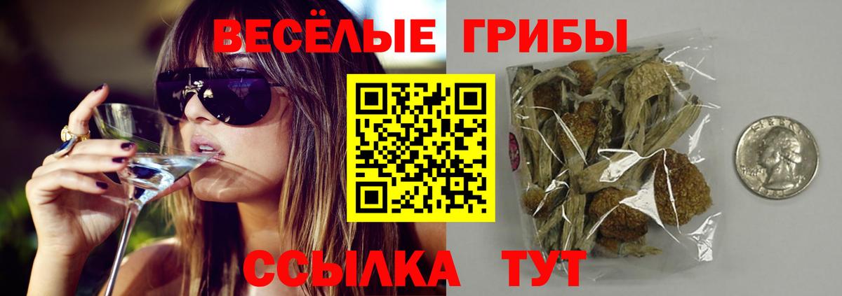 Богородицк  Галлюциногенные грибы GOLDEN TEACHER  Псилоцибиновые грибы прущие грибы  Вход с VPN 